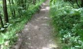 Trail Walking Mettet - Biésmeree - Photo 3
