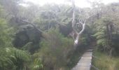 Percorso Marcia Salazie - forêt de belouve, trou de fer, haut de salazie - Photo 9