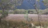 Tour Wandern Salazie - forêt de belouve, trou de fer, haut de salazie - Photo 8