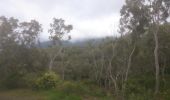 Tocht Stappen Salazie - forêt de belouve, trou de fer, haut de salazie - Photo 2