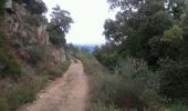Randonnée Course à pied Bormes-les-Mimosas - footing01h00 (entrainement trail) - Photo 1
