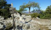 Trail Walking Toudon - cime des Colettes - Photo 1