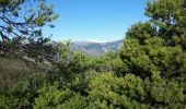 Tocht Stappen Toudon - cime des Colettes - Photo 2