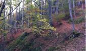 Tocht Stappen Saint-Étienne - le frioul - Photo 1