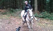 Trail Equestrian Mollkirch - molkirch_backup - Photo 2