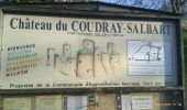 Percorso Marcia Échiré - Coudray-Salbart (6km) - Photo 1