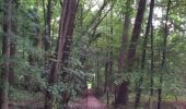 Percorso Marcia Halle - Buizingen - cimetière - Photo 1