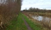 Trail Walking Moerbeke - Moervaart-Liniewegel - Photo 6