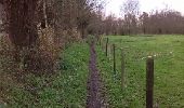 Trail Walking Moerbeke - Moervaart-Liniewegel - Photo 5