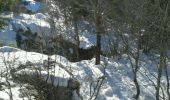 Tour Schneeschuhwandern Lans-en-Vercors - Les Ramées Variante - Photo 2