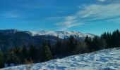 Trail Snowshoes Chézery-Forens - les Closettes - Photo 7