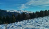 Trail Snowshoes Chézery-Forens - les Closettes - Photo 4