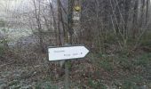 Tocht Stappen Dole - GOUX 13.5 km - Photo 7