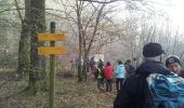 Tour Wandern Dole - GOUX 13.5 km - Photo 6