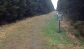 Trail Walking Waimes - signal de Botrange 8km - Photo 8