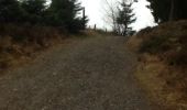 Trail Walking Waimes - signal de Botrange 8km - Photo 3