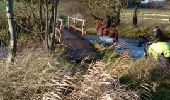 Trail Equestrian La Croisille - les boscherons  - Photo 1