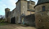 Tour Wandern Bertholène - les bourines - Photo 2