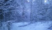 Randonnée Raquettes à neige Orcival - tour sanadoire et tuiliere - Photo 1