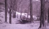 Randonnée Raquettes à neige Orcival - tour sanadoire et tuiliere - Photo 5