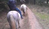 Tocht Paard Marsac-en-Livradois - rando équestre le mirat - Photo 1
