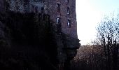 Tour Wandern Lützelstein - le staedtel - Photo 1