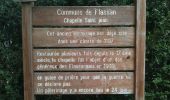 Trail Walking Flassan - Chapelle Saint Jean Flassan - Photo 8