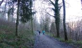 Trail Walking Couvin - Balade à Couvin - Photo 4