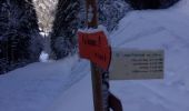 Randonnée Raquettes à neige Châtel - Pré la Joux - Linga - Photo 1