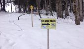 Randonnée Raquettes à neige Châtel - Châtel tennis - Chapelle d'Abond - Photo 1