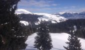 Excursión Raquetas de nieve Troistorrents - La Foilleuze - Madzé - Morgins - Photo 5
