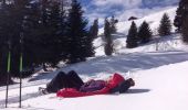 Trail Snowshoes Troistorrents - La Foilleuze - Madzé - Morgins - Photo 2