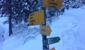 Excursión Raquetas de nieve Troistorrents - La Foilleuze - Madzé - Morgins - Photo 1