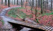 Trail Walking Auderghem - Oudergem - RB-Br-09 - Photo 6