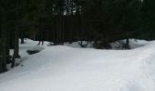 Percorso Racchette da neve La Llagonne - tour des lacs - Photo 12