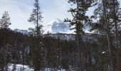 Tocht Sneeuwschoenen Cervières - Le Laus - Vers Izoard par le sentier de la Mule - Photo 2