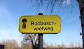 Trail Walking Scherpenheuvel-Zichem - Dropping 2 Sint Jan 2014 - Photo 12