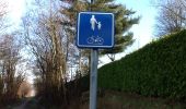 Trail Walking Scherpenheuvel-Zichem - Dropping 2 Sint Jan 2014 - Photo 8