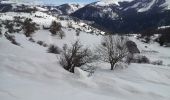 Tocht Sneeuwschoenen Beuil - Beuil :Rando raquettes (Aller) - Photo 7