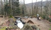 Tour Wandern Hohwald - La cascade du Hohwald par le champ du Feu - Photo 9