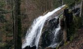 Tour Wandern Hohwald - La cascade du Hohwald par le champ du Feu - Photo 8