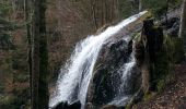 Trail Walking Le Hohwald - La cascade du Hohwald par le champ du Feu - Photo 8