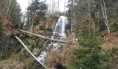 Trail Walking Le Hohwald - La cascade du Hohwald par le champ du Feu - Photo 6