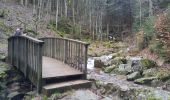 Tour Wandern Hohwald - La cascade du Hohwald par le champ du Feu - Photo 5