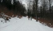 Tour Wandern Hohwald - La cascade du Hohwald par le champ du Feu - Photo 3