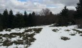 Tour Wandern Hohwald - La cascade du Hohwald par le champ du Feu - Photo 2