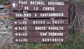 Trail Walking Pie-d'Orezza - Campodonico - Photo 1