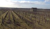 Randonnée Autre activité Châteauvieux - parcours des vignes Chateauvieux - Photo 2