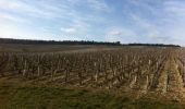 Tour Wandern Chablis - ballade milly - Photo 6