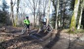 Tour Mountainbike Saint-Didier-sur-Beaujeu - claveisolles mars - Photo 3